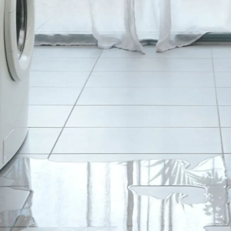 Appliance Leak Cleanup in Brownville, ME