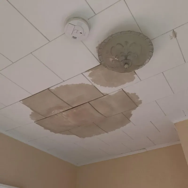 Ceiling Water Damage Repair in Brownville, ME