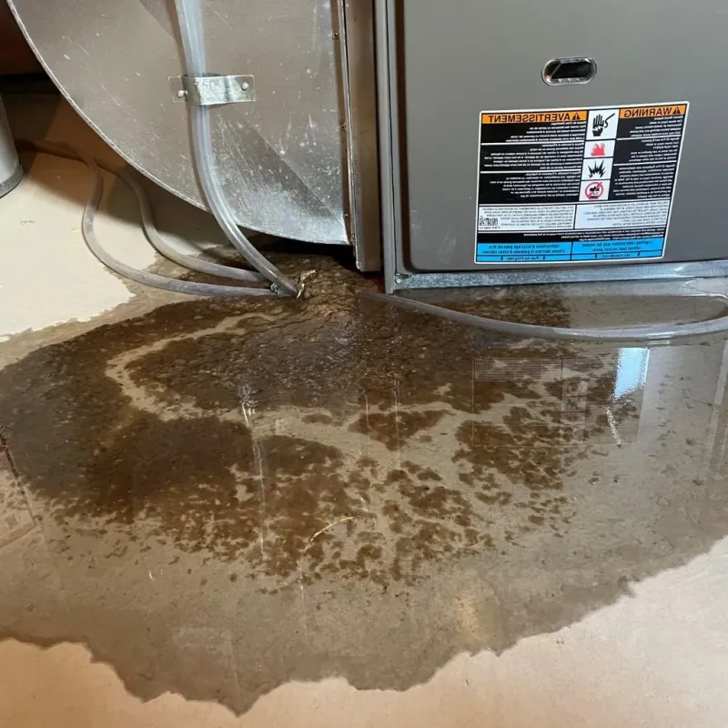 Pipe Burst and Leak Restoration in Brownville, ME